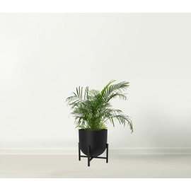 Olly & Rose Plant Pot with Plant Stand - Metal Plant Pots Indoor Planter 22cm Large Flower Pot (Black)