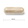 Jamieson Jamieson Gentle Iron 28 mg Ferrous Bisglycinate - Gluten-Free,