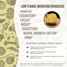 Hamilton’s Lucid Lion’s Mane | Organic Mushroom Extract Powder for Synapse Repair, Nerve Growth Factor, Focus, Memory, and Concentration | High Potency | 30% Beta Glucans | GF, Non-GMO, Vegan (100g)