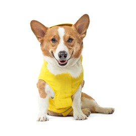Canada Pooch Torrential Tracker Dog Rain Jacket - Easy On, Adjustable Full Body Coverage, Waterproof, Functional Pockets, Reflective Trim Rain Coat for Dogs, Great for Dogs (Yellow, 26)