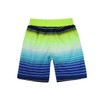 Rokka&Rolla Boys' Swim Trunks UPF 50+ Quick Dry Bathing Suit