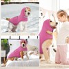 Lelepet Dog Calming Hoodie with Ear Cover - Anxiety Relief
