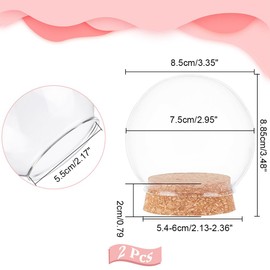 NBEADS 2 Pcs Eternal Flower Glass Dome Cloche, 3.4x3.5 Inch Glass Dome Cover with Cork Base Arch Bell Jar Cloche for Centerpieces Plants Rocks Specimens Decorations Crafts