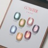From the Nail Coaster Guava Magnetic Gel 7-piece set /