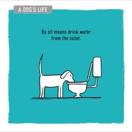 Woodmansterne Humour blank Greetings Card - A Dog's Life - By All Means Drink Water From The Toilet,white blue grey,160 x 160mm