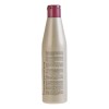 Salerm® Hi Repair Shampoo Restaura Cabello Maltratado 250 Ml