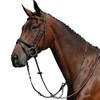Collegiate Syntovia+ Plain Flat Running Martingale Warmblood Black