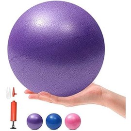 6 Inch Exercise Pilates Mini Yoga Balls Barre for Home Stability Squishy Training Physical Therapy Improves Balance Core Strength Comes with Pump(Purple, 6 Inch)