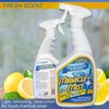 MiracleMist Instant Cleaner for Indoor and Outdoor Use, 32 oz