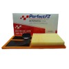 Filtro Para Motor PerfecFit calidad premiun compatible Ibiza, Caddy, Polo,