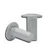 Aluminum Rivets Solid Rivets Truss Head Rivet Zinc Plated 100