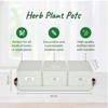 volila Herb Planter Indoor - Set of 3 Warmstone Indoor