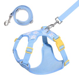 VETRESKA Dog Harness Small Sized Dog, Adjustable Reflective No Choke Puppy Harness No Pull, Easy Control Pet Harness Vest for Dogs, Cat, Kitten, Dog Harness with Anti-Tangle Dog Leash Set, Daisy XXS