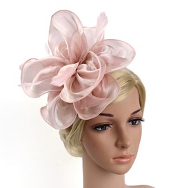 KalluliCC Fascinators Hat for Women Tea Party,BarePink Headband Kentucky Derby Cocktail, Wedding, Fancy Dress Party with Mesh Ribbons Feathers Headbands for Women Girls