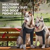 Hilltown Dog Socks to Prevent Licking Paws, Breathable Suitical Recovery
