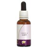 Living Essences Essence Clarity 30ml