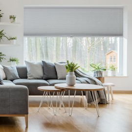 Calyx Interiors Light Filtering Grey Cellular, Honeycomb Shades, 22-Inch Width by 60-Inch Height (A04HCF220600)