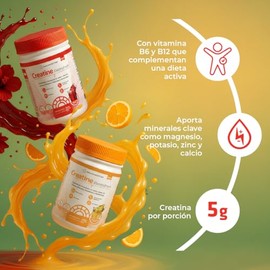 Creatina Monohidratada con Electrolitos y Vitaminas | Healthaddiction Electrofresh Jamaica | Con BCAAs, Prebióticos, Sin Azúcar, Sin Calorías | 30 Por