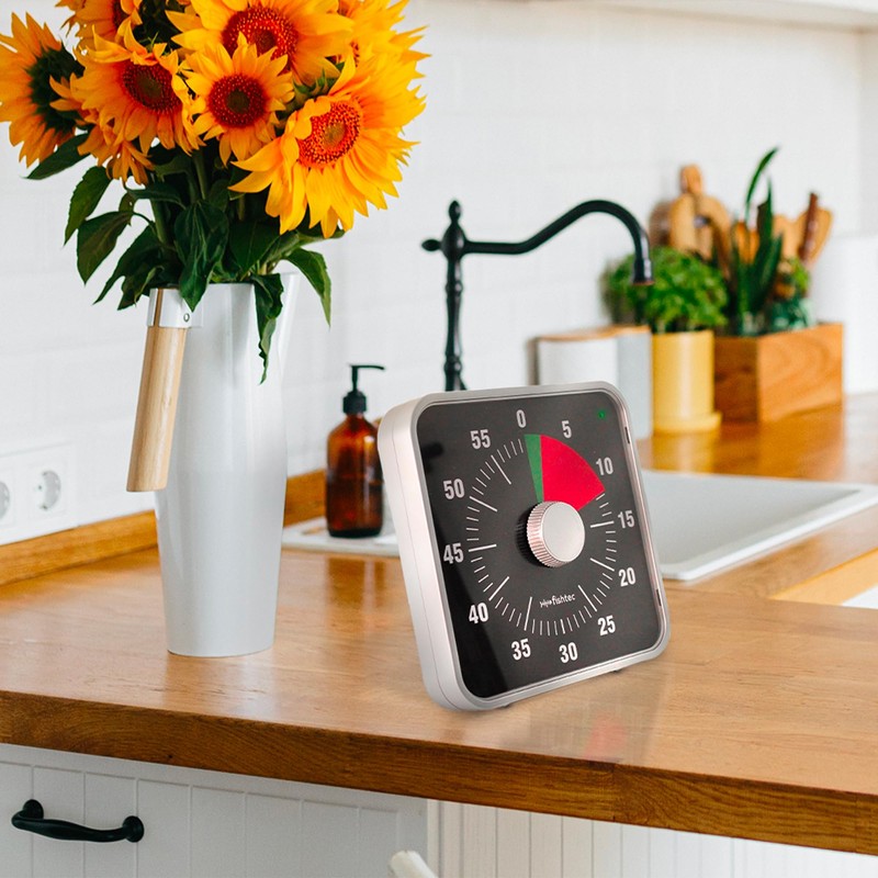 FISHTEC - Electronic Giant Square Timer - Timer 60 Minutes