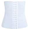 Plus Nao (Plus Danube) Women's Inner Waist Cincher Corset Shaper