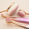 Royal Brush Moda Rose Cosmetic 4 Piece Face Make Up