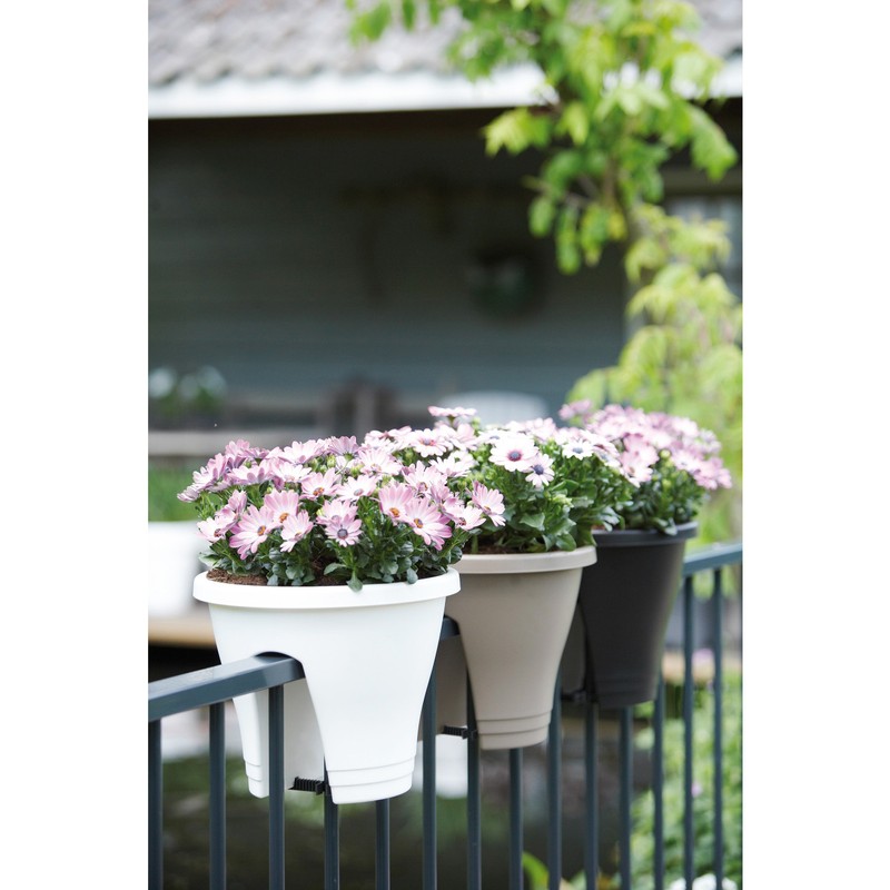 elho Corsica Flower Bridge® White, 30 cm Diameter, 1 Pot