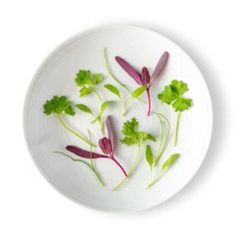 Fresh Origins Micro Greens, Fines Herb Mix, 3 oz Pack, Delicate French Herb Blend, Gourmet Garnish
