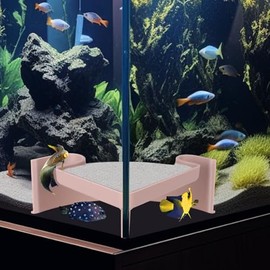 Aquarium Corner Cave with Viewing Window – 2-Hole Fish Hideout for Plecos, Cory Catfish, Shrimp, Kuhli Loach, Betta – Safe Plastic Undergravel Shelter for Bottom Dwellers (5"x5"x2")
