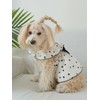 QWINEE 2pc Cute Heart Pattern Dog Dress Ruffle Trim Princess