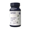 Higher Nature - Lion's Mane & Ginkgo - for High