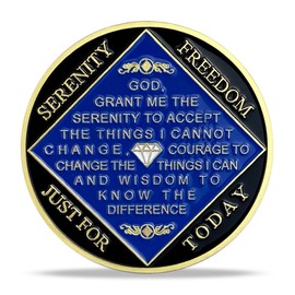 2 Year NA Medallion Gold Plated Narcotics Anonymous Coins Birthday Anniversary Token Recovery Gift