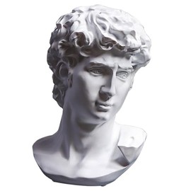 A.F.N.A.L David Bust Statue Classical Tabletop Decoration Gift, Greek & Roman Mythology Indoor Decor for Home & Office, Replica Resin Sculpture Art, 10.6" H