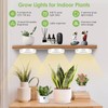 YdseozOA Plant Lamp LED Plant Light Full Spectrum 3 Heads
