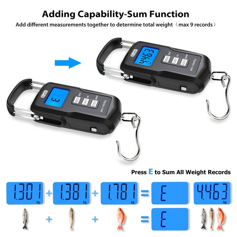 Dr.Meter Fish Scale Backlit LCD Display FS01: 110lb/ 50kg Digital