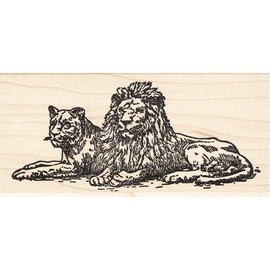 Lion & Lioness Rubber Stamp Wildlife