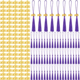 Cindeer 100 Pcs Mini Graduation Tassels with 100 Pcs 2025 Tassel Charms for Crafts Mini Silky Bookmark Tassels for Graduation Cap Keychain Ornaments DIY Craft Jewelry Making Project(Purple)