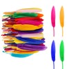 Thyonta 50 PCS Colorful Feathers - Craft Feathers for Crafts丨Natural