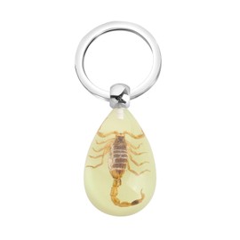 BNQL Real Scorpion Keychain Gifts Resin Scorpion Pendant With Real Scorpion Specimen Glow in the Dark Scorpion Resin Key Ring, Scorpion Keychain, Large