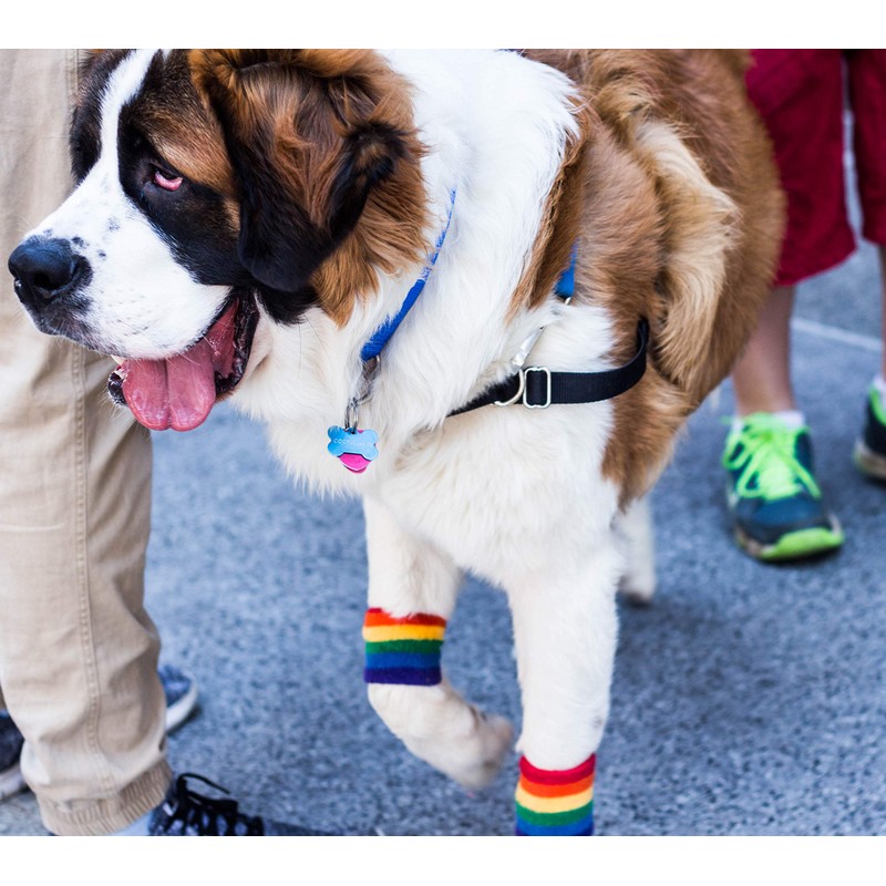 Party Numbers Sweatband Set, Rainbow, One Size