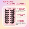 BTLLSSH False Eyelashes Wispy Lashes Natural Look Fake Eyelashes Cat