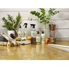 Caldrea Hand Wash Soap, Aloe Vera Gel, Olive Oil And