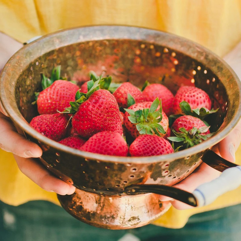 Bonnie Plants Strawberry, Live Plant, 19.3 oz. (4-Pack)