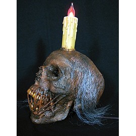 Skeletons And More Lighted Corspe Head Display