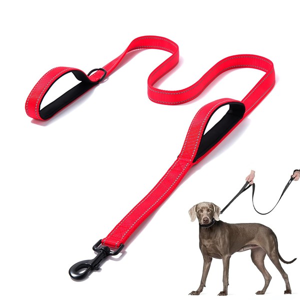 DDSCOLOUR Heavy Duty Dog Leash 5-6ft Long with Comfortable Padded