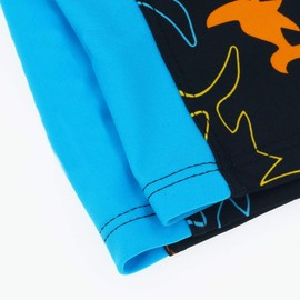 Aivtalk Boys' Quick Dry UPF 50+ Beach Swim Trunk Seamless Soft Breathable Drawstring Jammer Swimsuit 6-8T Shark Blue