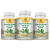 Nature Herbal Life Kalanchoe Pinnata-Leaf of Life-Cathedral Bells 750mg Vegetarian