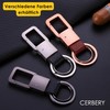 Cerbery - Hardened Steel Key Ring Set - 5 x
