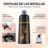 Kaisasa Shampoo Cubre Canas Tinte Instantaneo Jengibre Champu Chao Natural