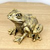 Alfie Francis Gold Frog Ornament Statue Home Shelf Decor Sculpture