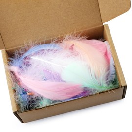Tabanzhe 300pcs Colorful Feathers - Natural Goose Feathers for DIY Dreamcatcher,Crafts,Hat, Vase, Mask, Gift Box, Wedding Party Decorations